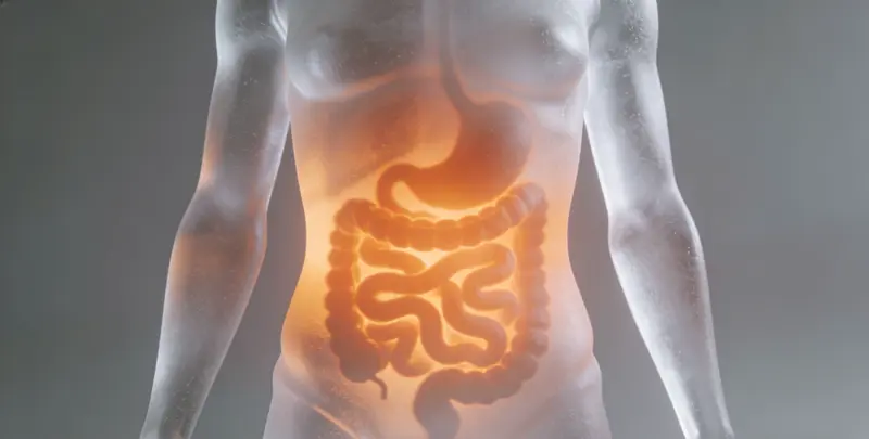 张家口胃癌全面用药基因检测（组织）图片1